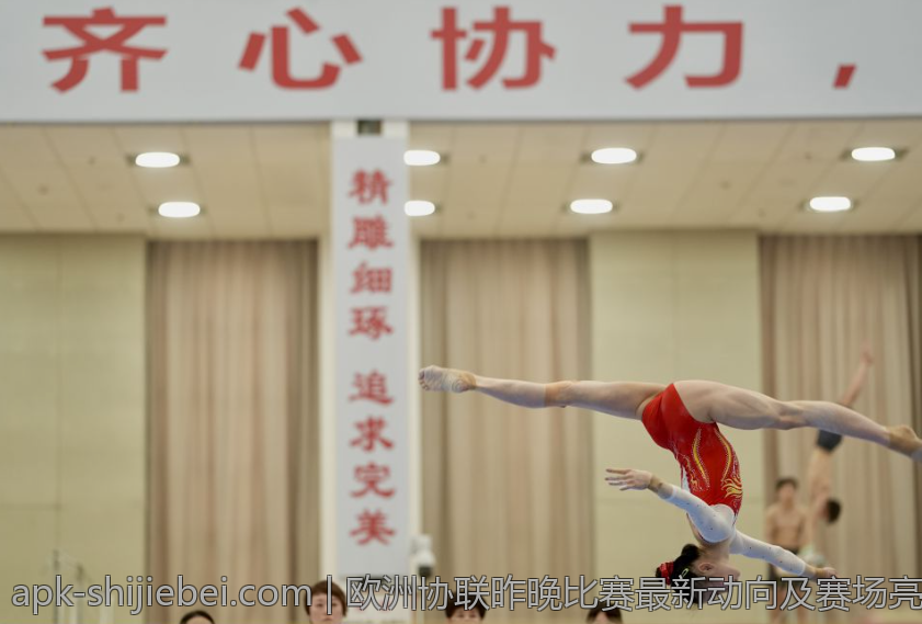 欧冠历史冠军俱乐部数量与排名解析
