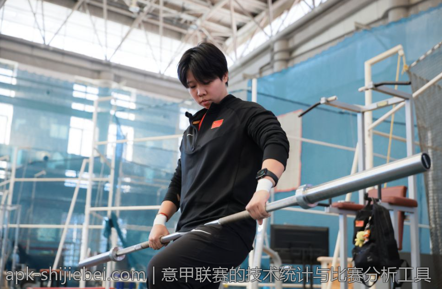 意甲联赛的技术统计与比赛分析工具