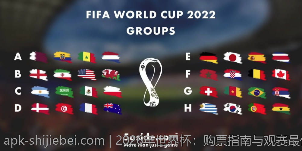 2026年世界杯：购票指南与观赛最佳方式